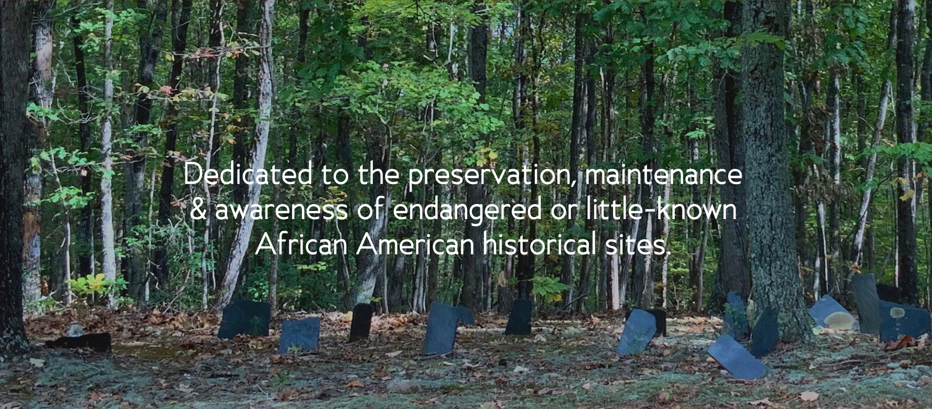 Dedicated to the preservation, maintenance & awareness of endangered or little-known African American historical sites.